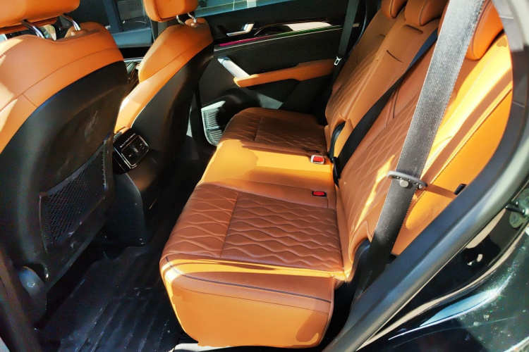 BYD Tang New Energy 2023 car image #17