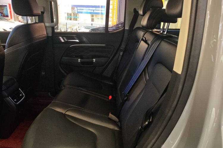 Tank 300 New Energy 2025 car image #17