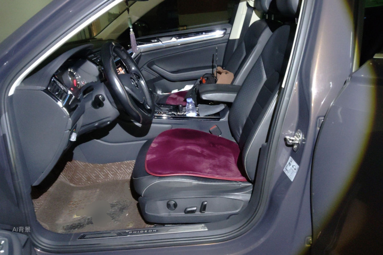 Volkswagen Phideon 2018 immagine di auto #17