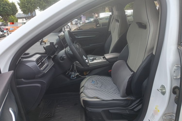 BYD Destroyer 05 2024 car image #17