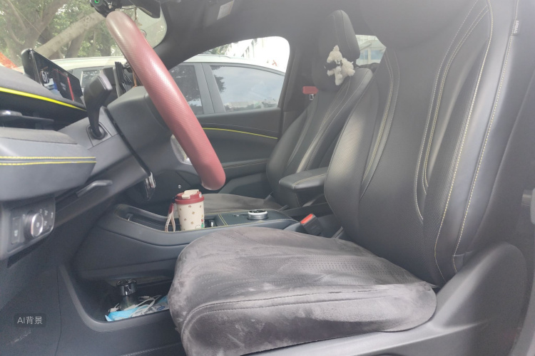 Ford Mustang Mach-E 2024 car image #17