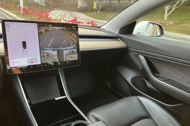Tesla Model 3 2020 #17 Tesla Model 3 2020 car image #17