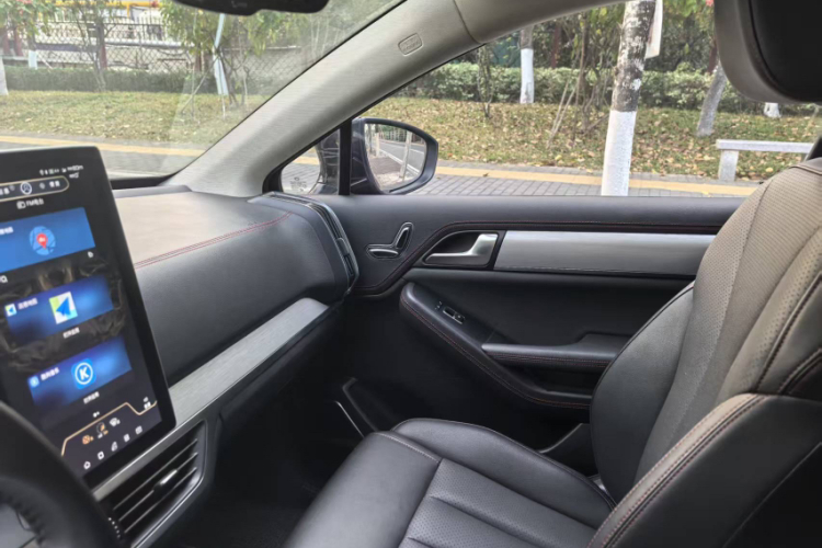 BYD Tang New Energy 2019 #17 BYD Tang New Energy 2019 car image #17