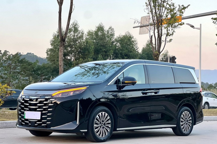 BYD Xia 2025 car image #17