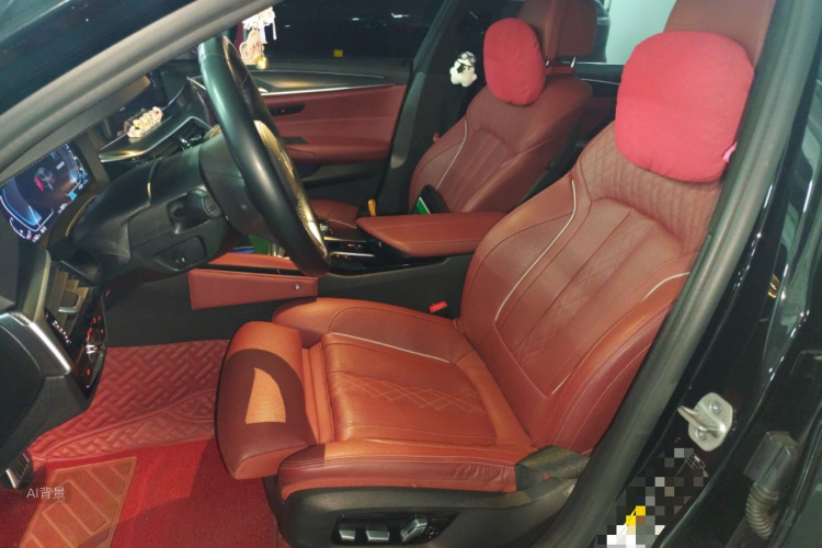 BMW 5 Series New Energy 2021 car image #17