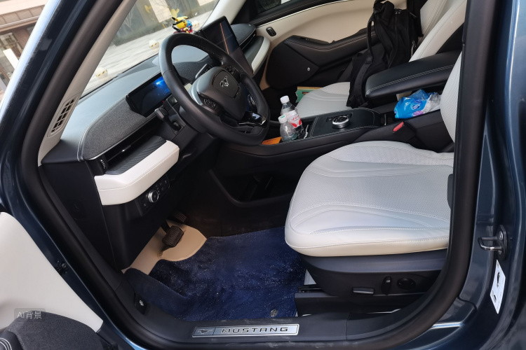 Ford Mustang Mach-E 2023 car image #17