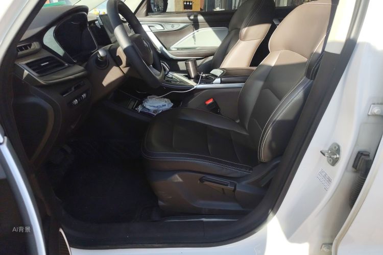 睿蓝汽车 枫叶80v 2022 汽车图片 #17