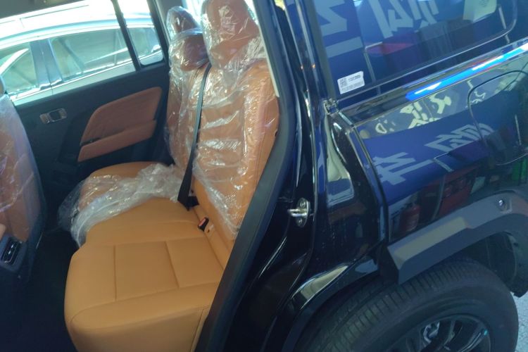 Haval Raptor New Energy 2025 car image #17