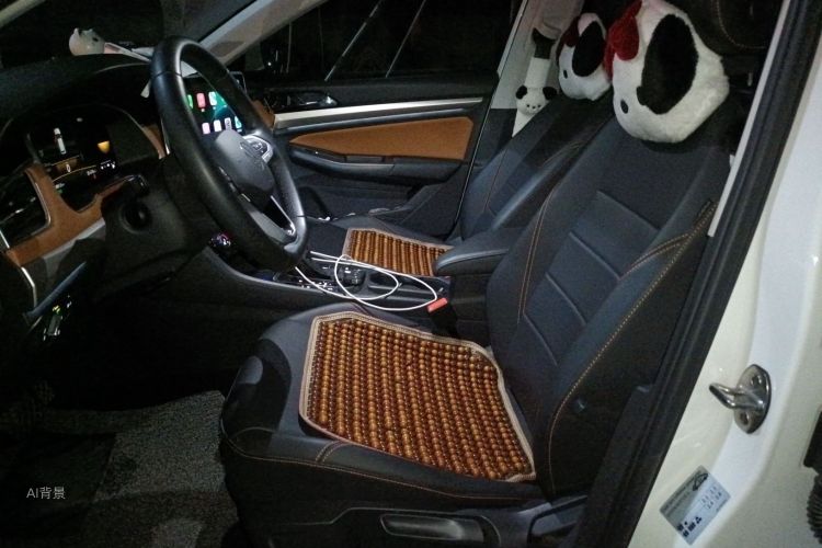 Volkswagen Bora 2022 car image #17