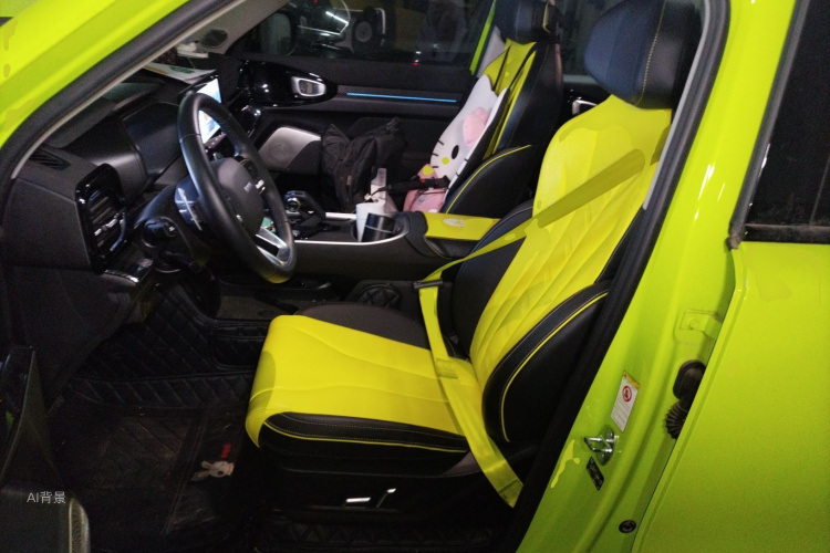 Haval Dargo 2022 car image #17