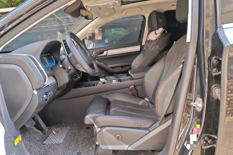 BYD Tang New Energy 2019 car image #17