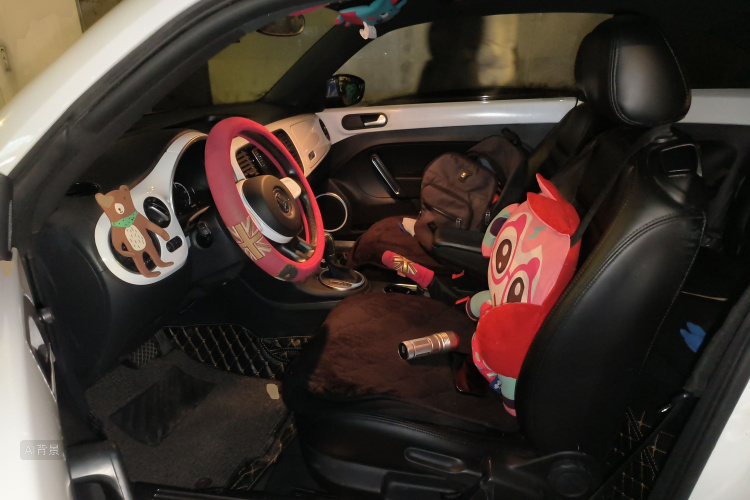 Volkswagen Beetle 2016 immagine di auto #17