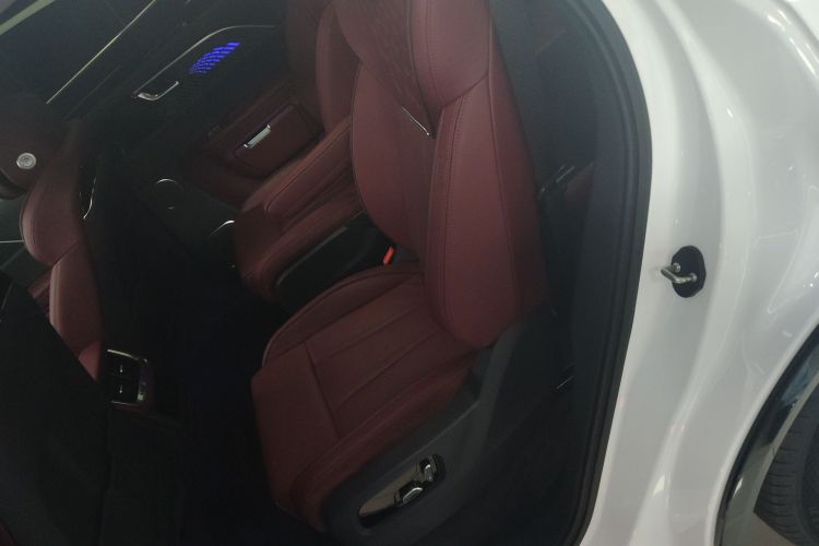 HongQi E-HS9 2023 #17 HongQi E-HS9 2023 car image #17