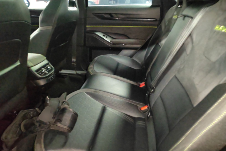 Haval H6S 2022 car image #17