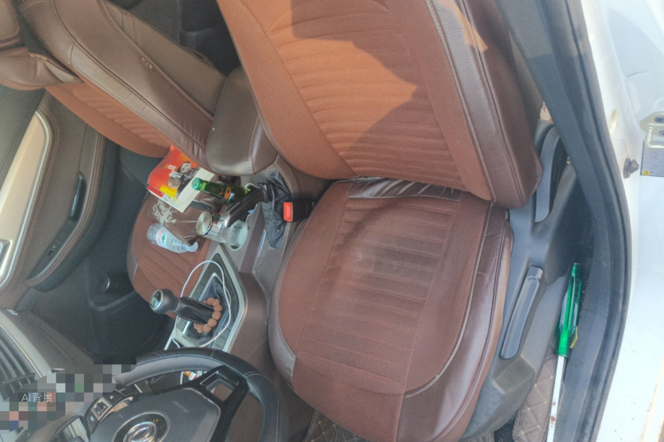 Forthing JOYEAR X5 2017 car image #17