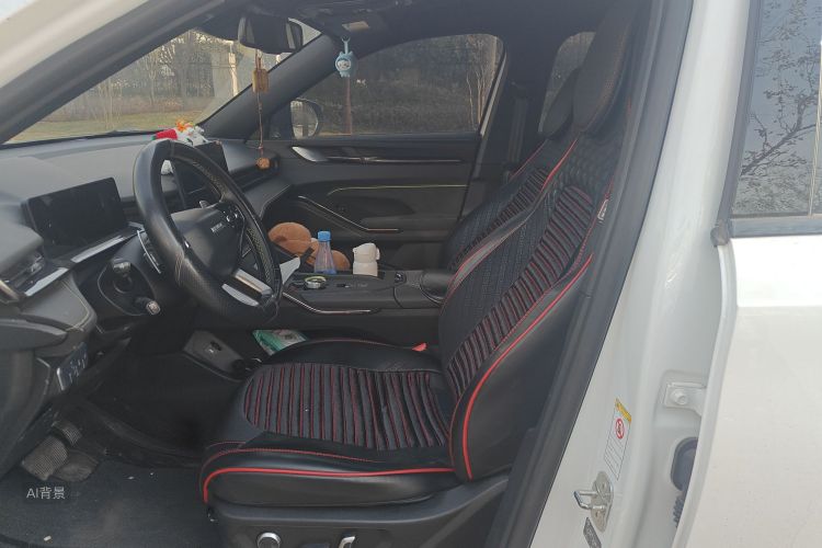 Haval H6S 2022 car image #17