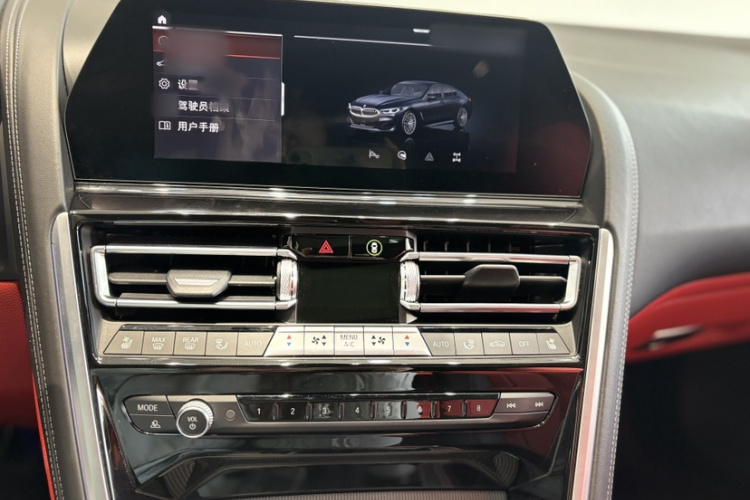 BMW 8 Series 2022 #17 BMW 8 Series 2022 car image #17