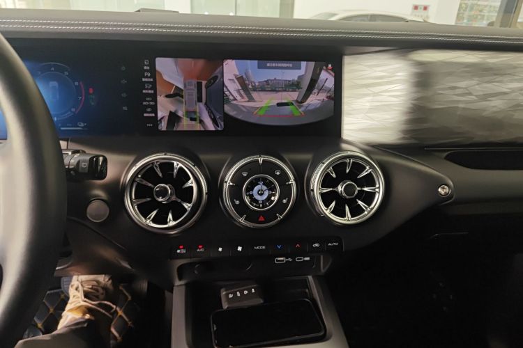 Tank 300 New Energy 2024 car image #17