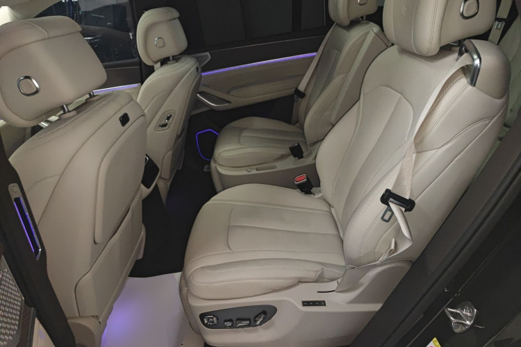 Denza N9 2025 car image #17