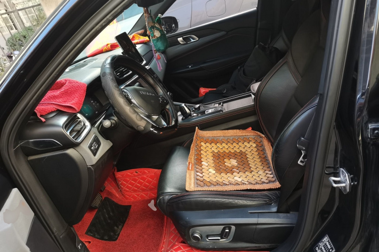 领克 领克03 2019 汽车图片 #17