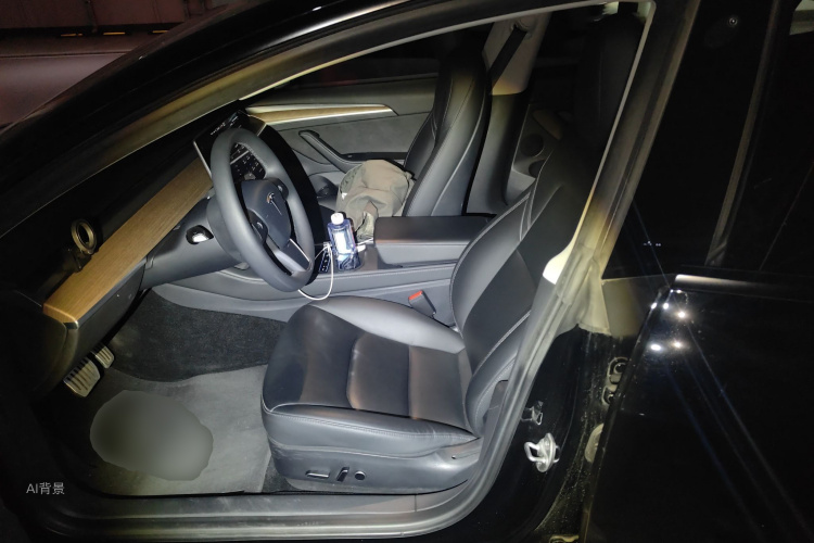 Tesla Model 3 2021 car image #17