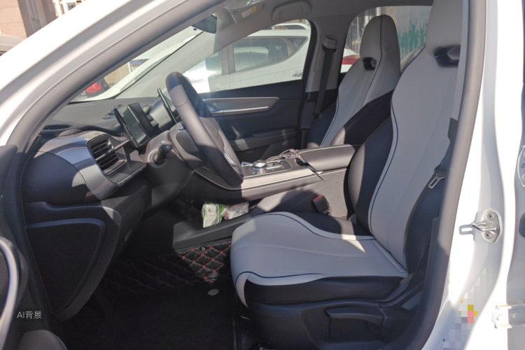 BYD Destroyer 05 2025 car image #17