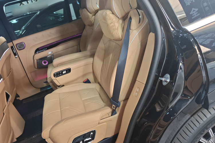 极氪 极氪9X 2025 汽车图片 #17