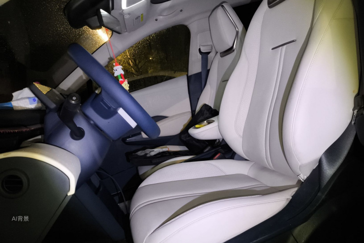 极氪 极氪X 2023 汽车图片 #17