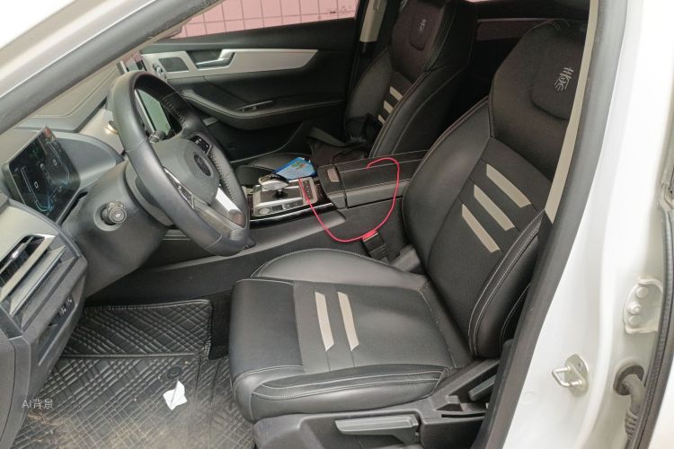 BYD Qin Pro New Energy 2019 #17 BYD Qin Pro New Energy 2019 car image #17