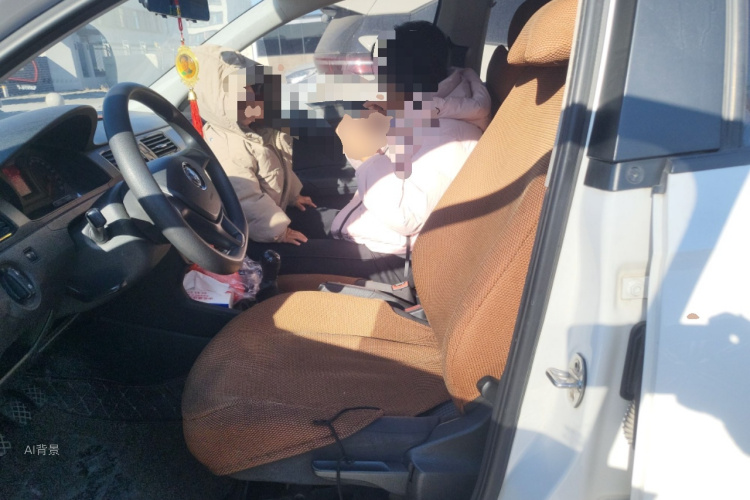 桑塔纳 2019 汽车图片 #17