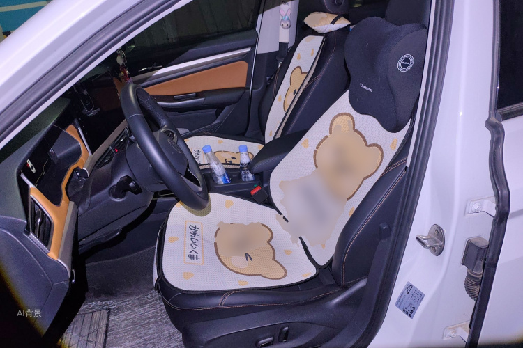 Volkswagen Bora 2022 immagine di auto #17