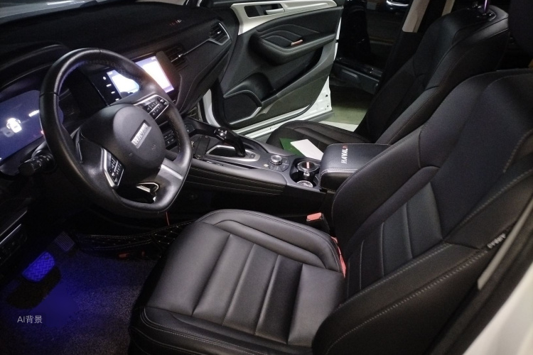 Haval F7 2020 car image #17