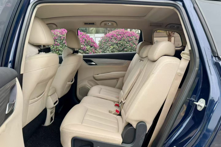 BYD Song MAX New Energy 2019 car image #17