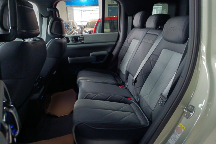 FangChengBao Leopard 5 2025 car image #17