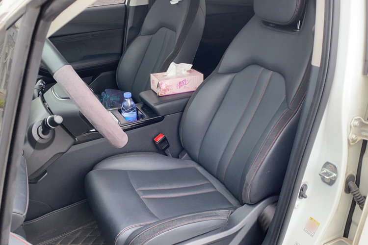 GAC Trumpchi GS4 New Energy 2020 car image #17