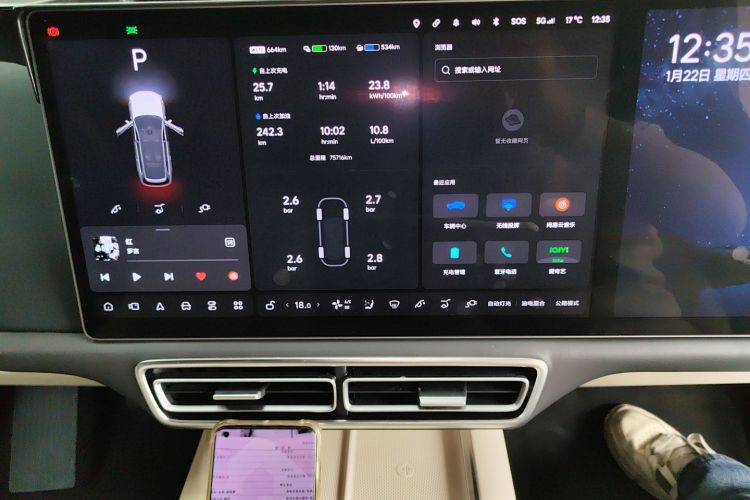 Li L9 2022 imagen de coche #17