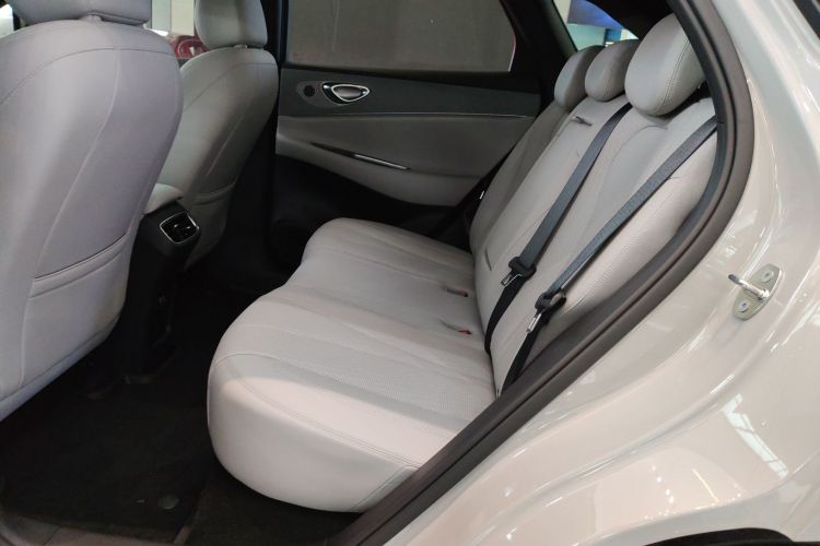 BYD Sea Lion 06 New Energy 2025 car image #17