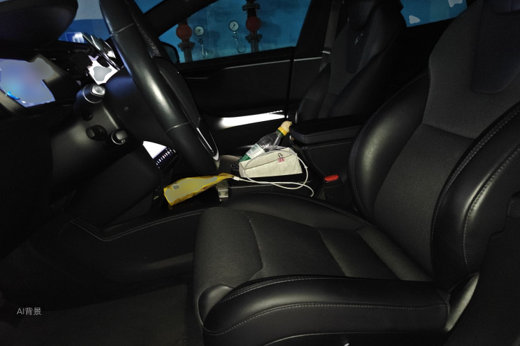 特斯拉 Model S 2019 汽车图片 #17