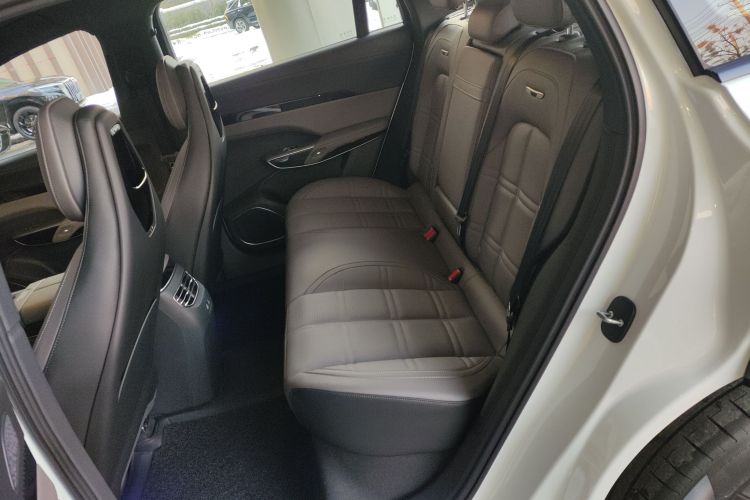 HongQi TianGong 08 2025 car image #17