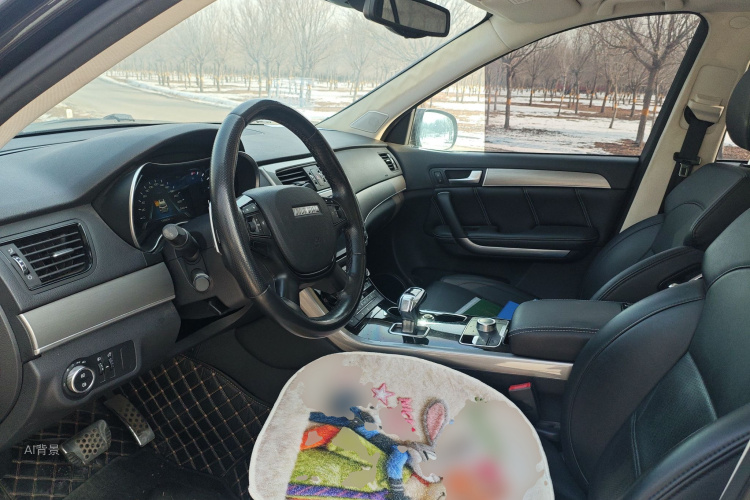 Haval H8 2017 car image #17