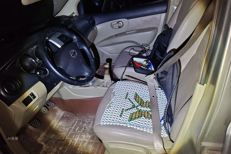 日产 骊威 2014 汽车图片 #17