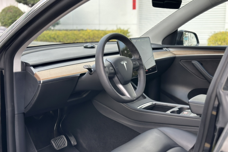 Tesla Model Y 2021 car image #17