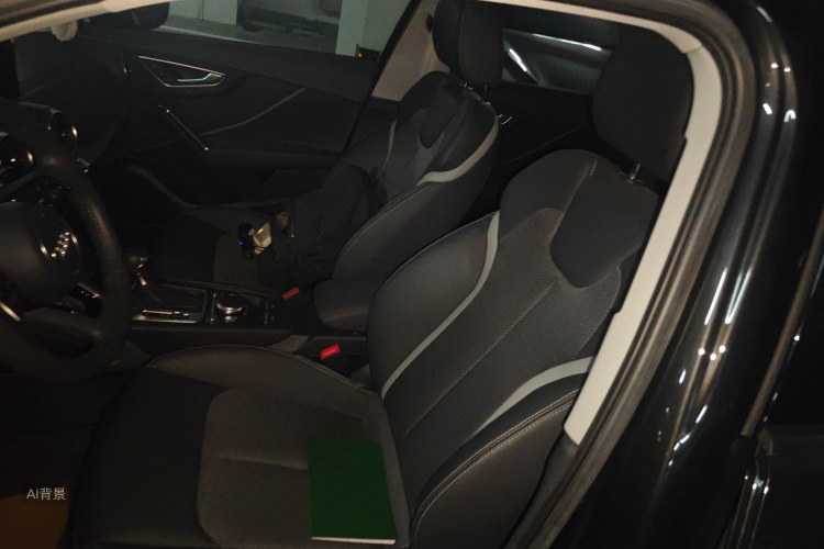 奥迪Q2L e-tron 2020 汽车图片 #17