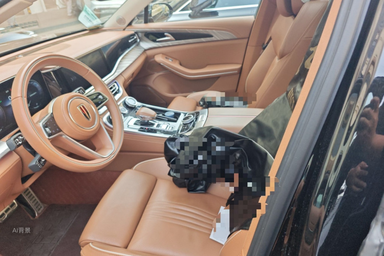 HongQi H9 2021 #17 HongQi H9 2021 car image #17