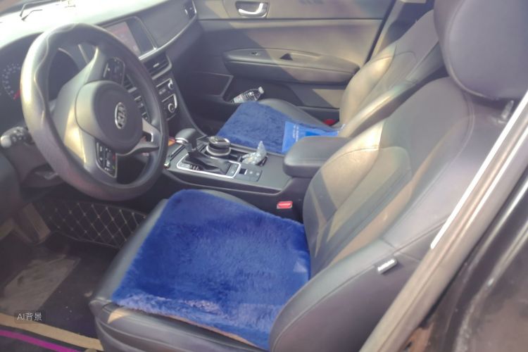 起亚 起亚K5新能源 2019 汽车图片 #17