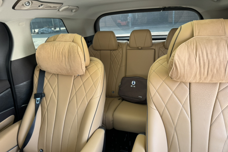 Denza D9 2025 car image #17