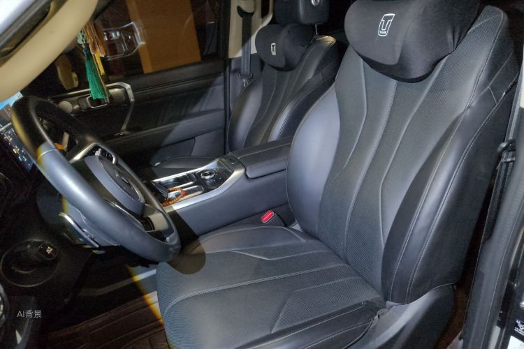 Tank 400 New Energy 2023 car image #17