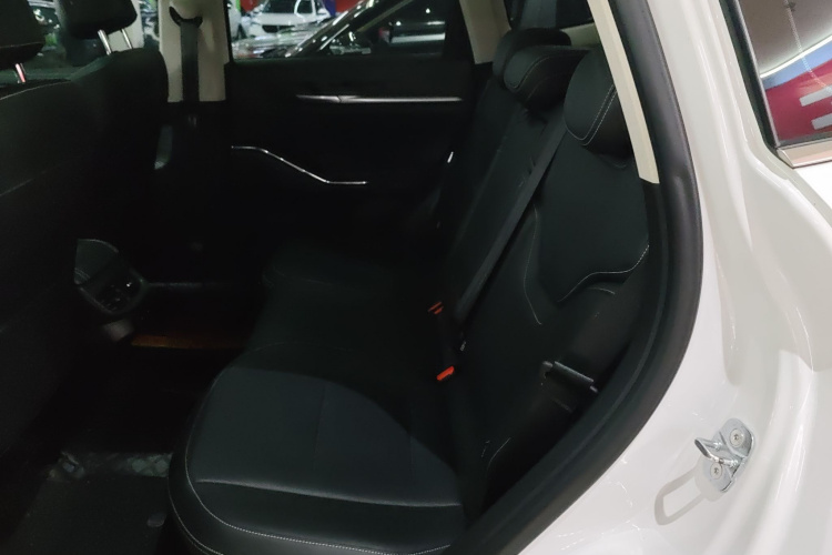 Haval H6 2022 car image #17