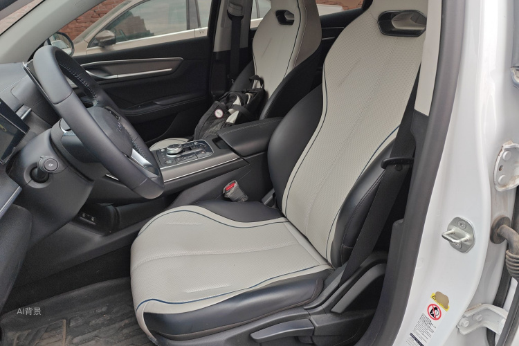 比亚迪 驱逐舰05 2024 汽车图片 #17