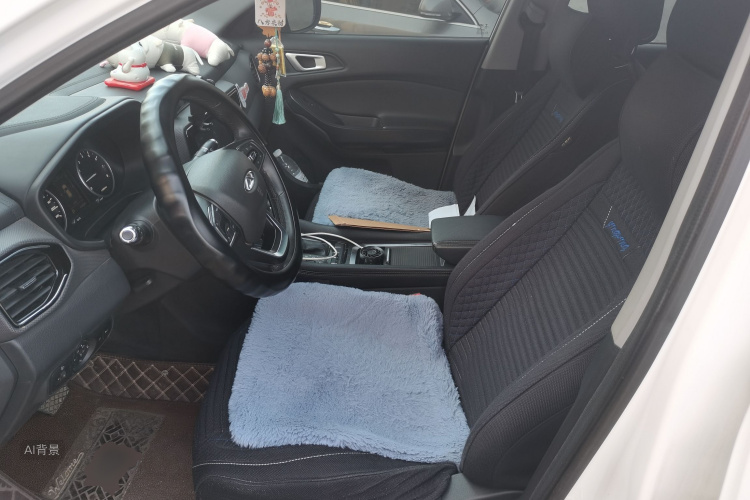 Chery Tiggo 5x 2019 #17 Chery Tiggo 5x 2019 car image #17